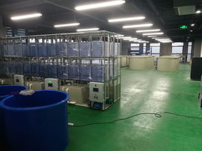 科創組團，引領變革 工業化淡水水產養殖研發中心矚目而成