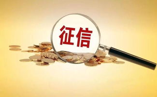 征信服務(wù)收費標準下調(diào)近50% 激發(fā)社會經(jīng)濟咨詢新活力